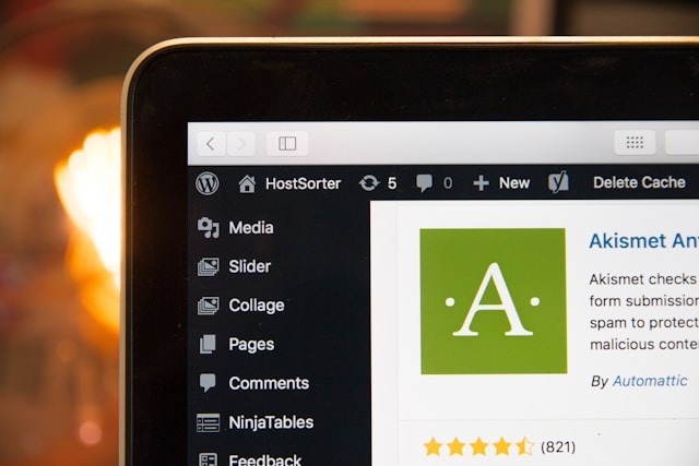 WordPress Webdesign